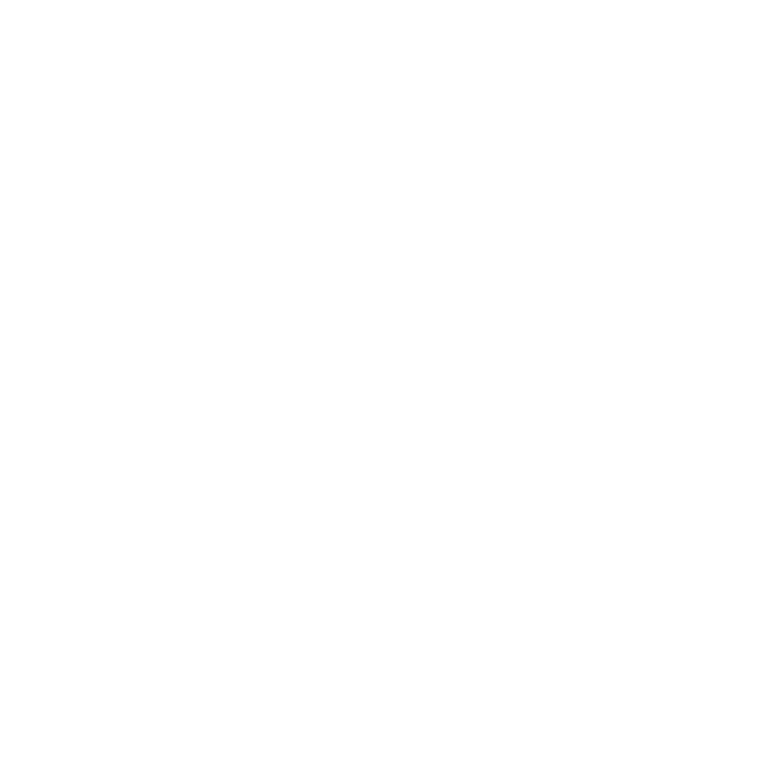QI Ayurveda