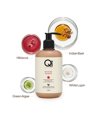 Restore Hair Repair Shampoo